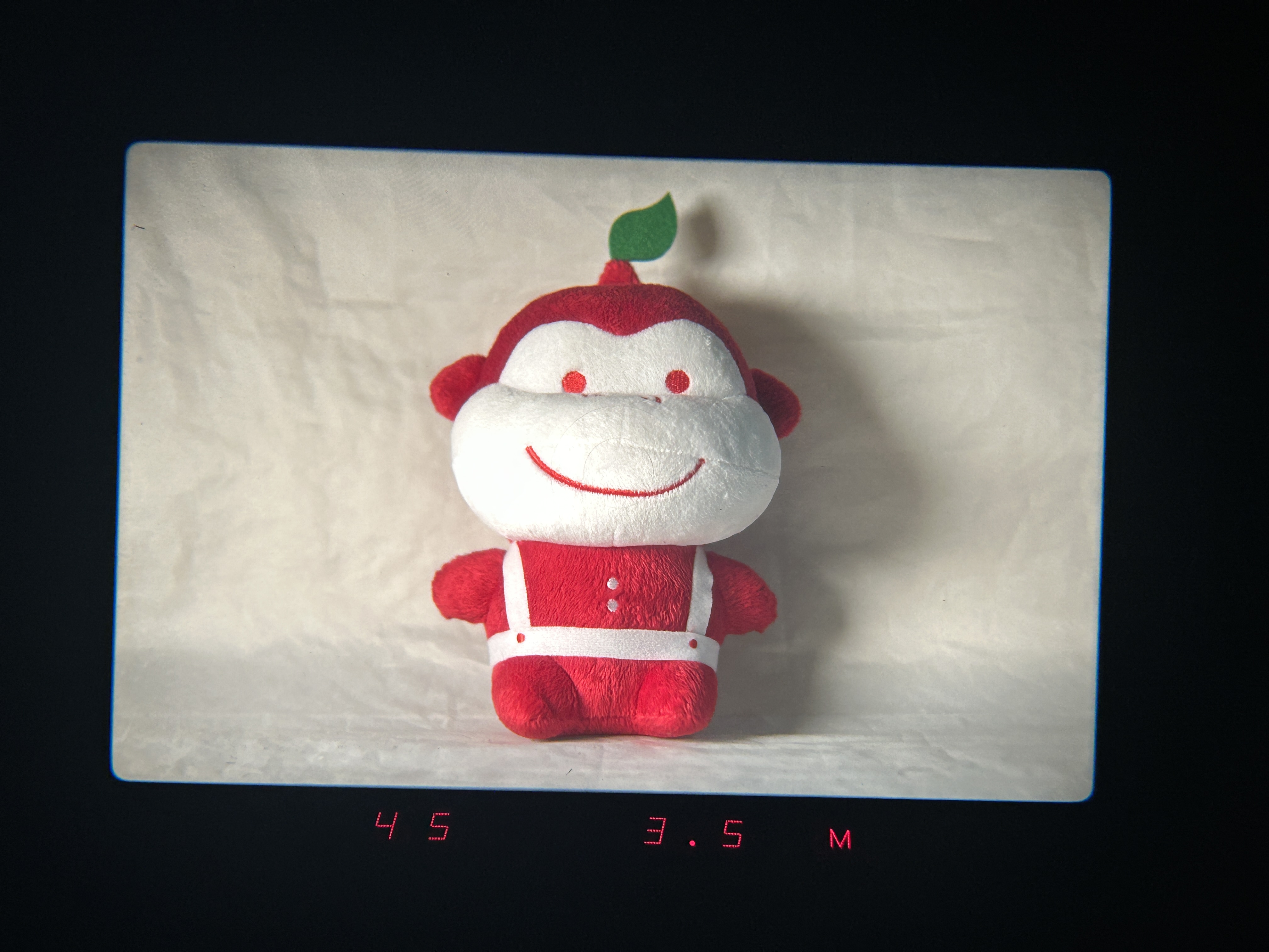 Additional Image 14